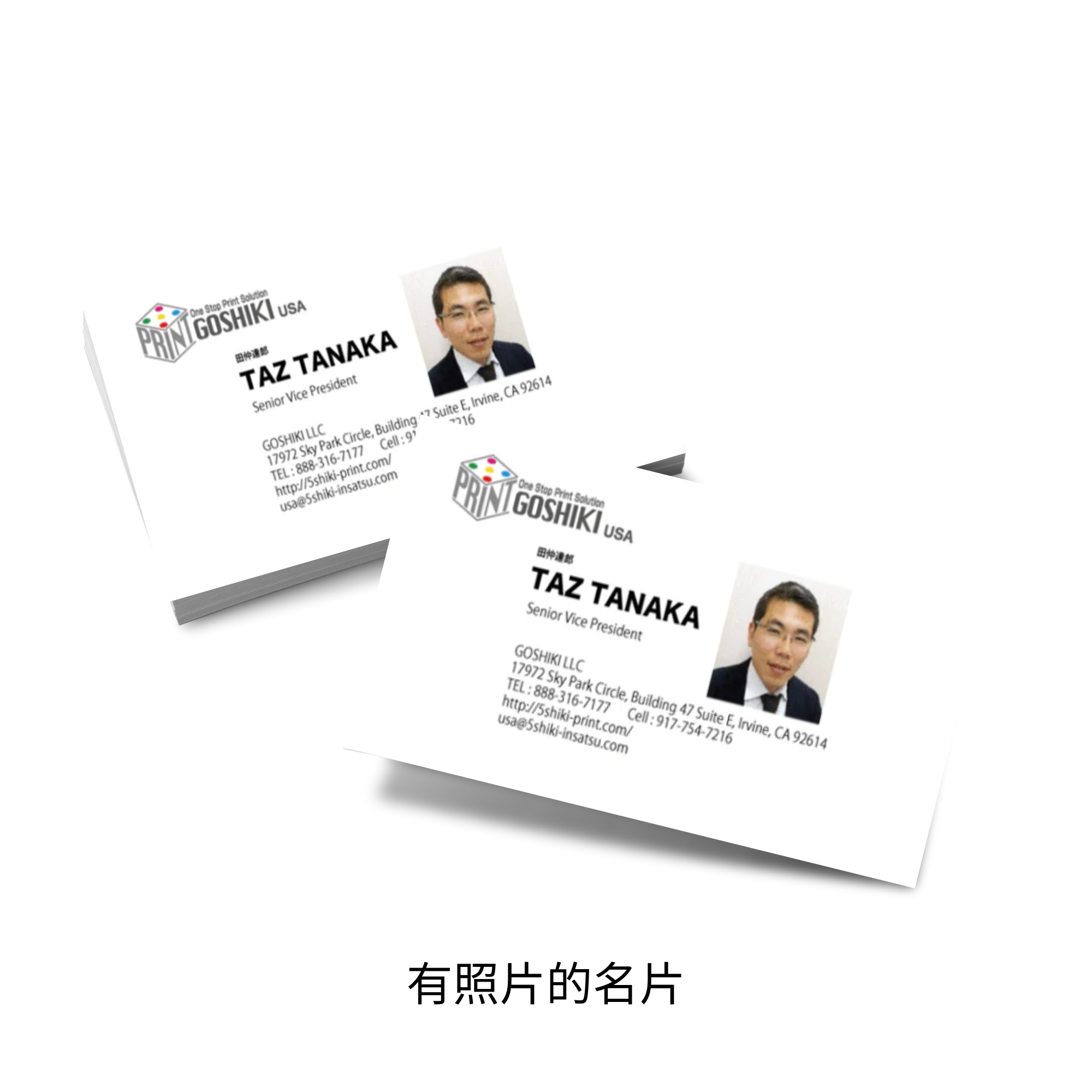 【Design&Print Package】Business card 【Free Shipping】